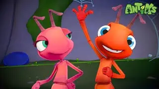 Komedi Lengket Penuh Kejutan 🎬😜 | ANTIKS Indonesia | Kartun Anak | Petualangan Semut ANTIKS