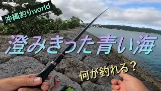 澄みきった沖縄の青い海で、何が釣れるのか？お楽しみください！【沖縄】【フカセ釣り】【恩納村】