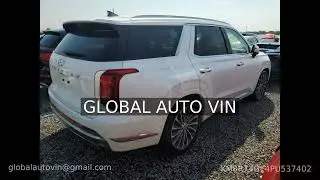 HYUNDAI PALISADE 2023 KM8R74GE4PU537402