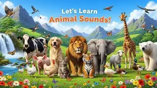 The Animal Audio Show: Fun Sound Learning!
