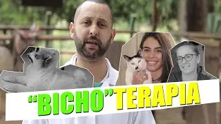 CONHEÇA A TERAPIA ASSISTIDA POR ANIMAIS