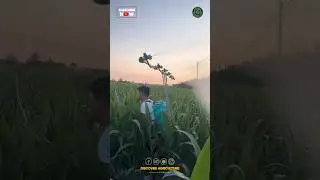 Adjustable BACKPACK SPRAYER Machine