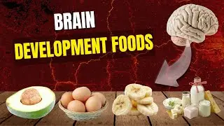 Baby Brain Development Starts With Food | First 1000 Days Guide