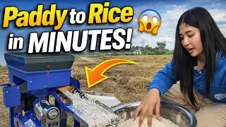 Paddy to Rice in Minutes 😱 | Amazing Rice Milling Machine