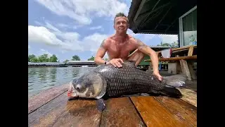 UK Angler Siamese Carp Fishing Thailand 2025- BKKGUY