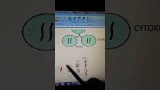 CELL SHORT SERIES #celldivision #mitosis #amitosis #meosis #cell #upsccontent#pcs_content#ssccontent