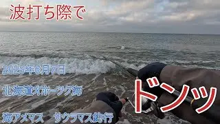 波打ち際でドンッ　北海道オホーツ海海アメマス　サクラマス釣行
