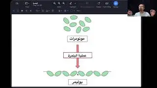 البلمرة العضوية ج1 | بلمرة الاضافة