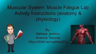 Instructions for Muscle Fatigue Lab Report (anatomy and physiology)
