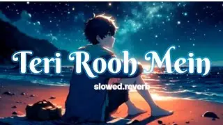 Lofi_New Song 2025 _ TeriRooh Mein New HindiSong_Romantic Song