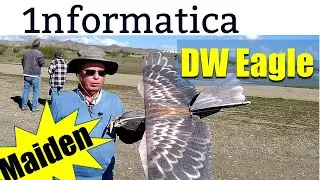 Dancing Wings Hobby DW Eagle V2 1430mm Wingspan EPP RC Airplane Maiden
