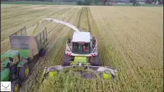 Cutting and Bagging Wheat Silage