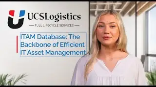 ITAM Database: The Backbone of Efficient IT Asset Management