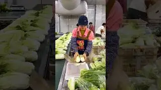 Fast packing Techniques #packing #packaging