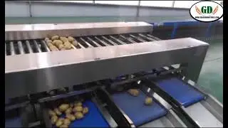 Advanced Potato Grading System | Size Sorting Machine by G.D. Agro
