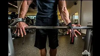 Bear Grips Padded Lifting Straps