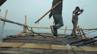 Jangankan mau tidur, rebahan pun tak sempat dibuatnya. Ampun dah # Bagan Ruslan - Semi 44 ( II )