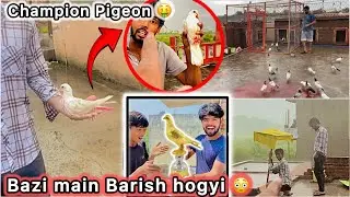 Finally Gaon wali bazi jeet Gye 🤑 || Bht Tej Barish Hone lgi 😮 || Kabootar Tournament 🕊️