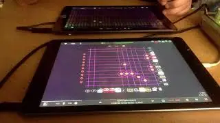 Fexomat - 15th (apeMatrix Jam)