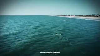 Mickler Beach E Surfer 