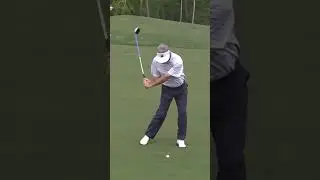 Fred Couples Slow Motion Downswing Compilation ❤️❤️❤️ #golf #shorts