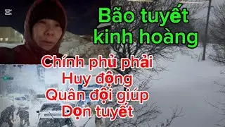 Trận bão tuyết kinh hoàng chính phủ phải huy động quận đội dọn tuyết ❄️❄️❄️