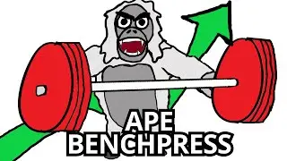 How much can a Gorilla Benchpress?