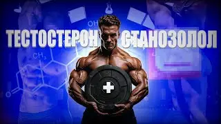 КУРС ТЕСТОСТЕРОН СТАНОЗОЛОЛ | ТЕСТ+СТАН