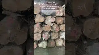 Premium quality teak wood for door and windows on Wholesale price - Jagdev Saw Mill (📞9416010839)