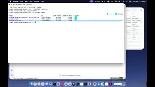 Docker setup to access files on VScode