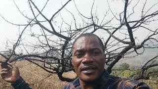 Impact Of Climate Change On The Environment And Livelihood