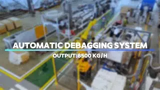 Automatic Debagging System