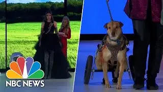 Watch: Dogs take a stroll down the catwalk at New York Fashion Week