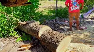 Wow good cut tree at home #tree