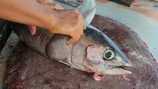 The Fastest Tuna Cutting in the World Is Done in a Matter of Minutes