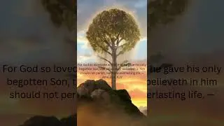 John 3 16