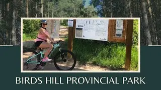 Birds Hill Provincial Park | Aspen Trail | Lakeview Trail | Manitoba, Canada | Monique & D