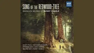 Double Reed on the poem &ldquo;To the World&rsquo;s Bassoonists&rdquo;: I. Noble Bassoon