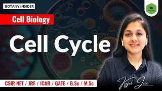 Cell Cycle - Part 1 | Cell Biology Unit 2 CSIR NET Life sciences || GATE I DBT JRF II