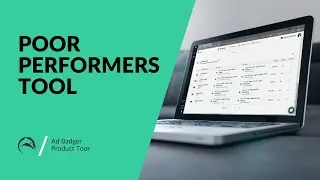 Amazon PPC Software &ndash; Ad Badger v2 Product Tour: Poor Performers Tool