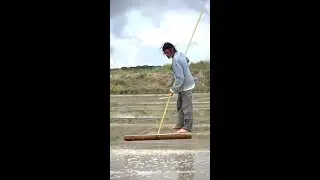 As&iacute; se hace la SAL para cocinar
