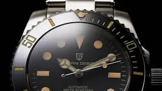 PAGANI DESIGN New men's automatic mechanical watch