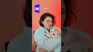 Наняли котика🐈 Но под жестким NDA✍️ #ResultM #маркетинг #офис #NDA #HR