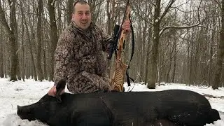Free Range Hog Kill Shot With Custom RUGER 450 Bushmaster at Finger Lakes Exotic Farm, Upstate Ny