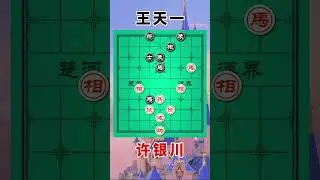 许银川vs王天一，功夫之王，残局决斗，对酒当歌