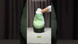 Compraron Un Acuario Por Internet Para Criar A Sus Peces 😲