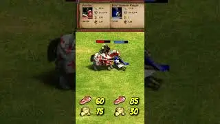 Paladin vs Elite Teutonic Knight (AoE2) #Shorts