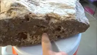 Metal Detecting a Large Quartz & Gold Specimen with a MInelab GPZ 7000