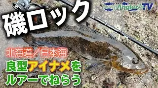 北海道／磯ロック　良型アイナメが面白い！