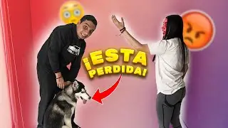 SE ME PERDIO LA MASCOTA DE MI NOVIA Y SE ENOJO MUCHO CONMIGO || JUANITO MARTINEZ
